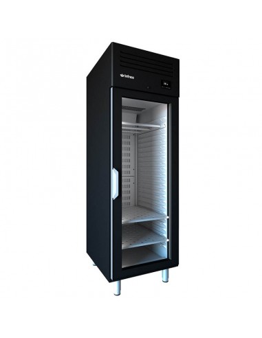 Armario madurador Dry Aging AGB701MDAB de Infrico