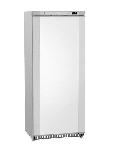 Frigorífico 590LW